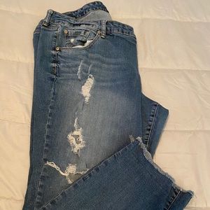 Torrid Jeans